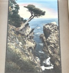 Vintage J.M. Garrison Hand Tint Oil Color Photo Point Lobos CA 10.5”x15.5” VGC