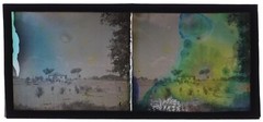 AUTOCHROME Original Color Photo Stereo C1920 Vintage Glass V35L26N1