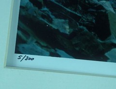 NEW Lot of 2 Barry Schneider Balls Falls Ontario Matted Photographs 14″ x 11″