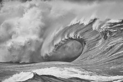 Hawaiian Wave 8×12″ Black & White Photo
