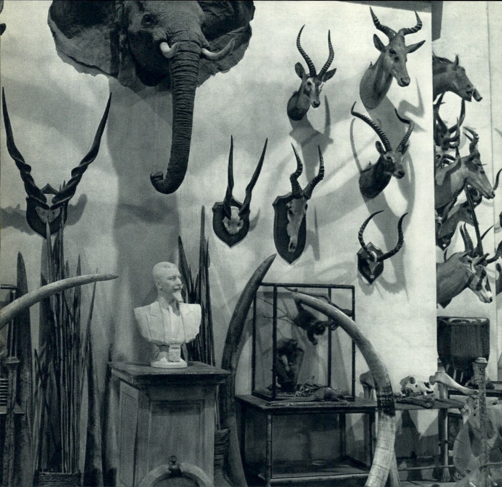 1955 ROBERT DOISNEAU Trophies From Big Game Hunting Elephant Art Photo Gravure