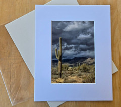 Unsigned 5″ X 7″ Photograph in Cardboard Frame 8″ X 10″ Desert Saguaro Cactus