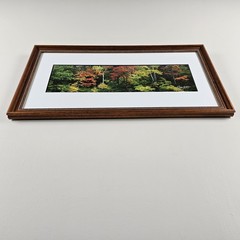 ART – Signed Gary Love Photograph 21.75×11.75 Framed Landscape Art – Maine Trees
