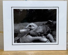Black and white photograph signed matted 11 x 14 inch baby chicken country farm