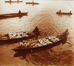Vietnam Annam Fischer Of Coral c1910 Photo Stereo Plate Glasses VR23L11n