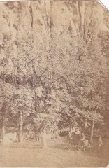 Early Photo on Cardboard – Trees + Children with Carts – Circa 1860s
