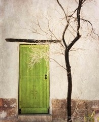 Adobe Green Door, Tucson Arizona Southwest Wall Art Photography