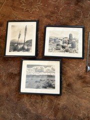 Mid Century Modern Southwestern Art Photographs Desert Cactus Mountains Sky