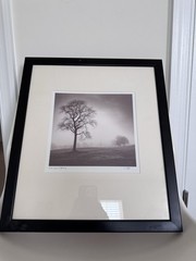 Richard Calvo ‘In Just Spring’ Framed Black & White Landscape Tree Photograph