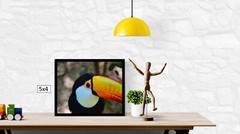 Toucan in the Wild, High Resolution Image, Many Formats, TV Art