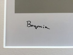 BRUCE BLUM SIGNED COLOR Photo Print (24″X 18 3/4″)-«Begonia «