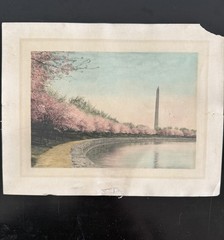 Antique Wallace Nutting Hand Colored Photo set c:1920 + Cherry Blossoms DC pic
