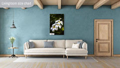 Island Elegance: Hawaiian White Plumeria Flower Wall Art Nature Print