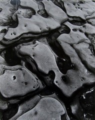 BRETT WESTON Signed 1970’s Original Photograph – «Abstract Image»