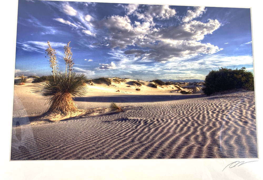 Professional Photograph Art Print White Sands, NM Matted Signed