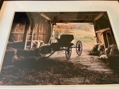 Bill Coleman – Amish Buggy – Photography Matted & Framed 26.5″ x 22.5″ – Signed!