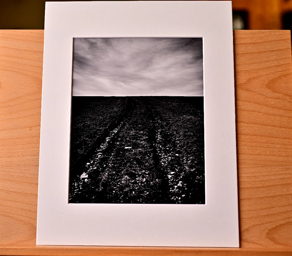 NATURAL ELEMENTS- PHOTOGRAPHS #1