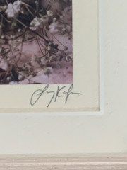 Larry Kanfer Signed 1992 Floral Photograph Pink Roses Baby’s Breath Framed