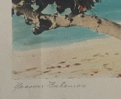 1910s 1920s NASSAU, BAHAMAS, W.R. SAUNDERS HAND TINTED PHOTOGRAPH SIGNED