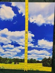 Canvas Photo Clouds Over A Golden Field Haw River, NC 16×20 Ltd Ed Signed