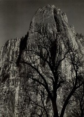 1949 Ansel Adams Yosemite North Face Of Sentinel Rock Original Art Photo Gravure