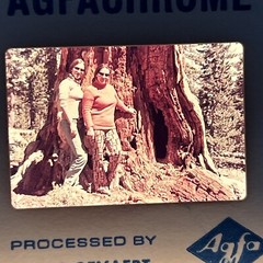 Lot Of 40 Vintage California Redwoods Ski Vacation Amateur 35mm Color Slides