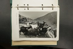 Photo Album Corsica France Island Church Building Landscape Nature Farmer Fisherman