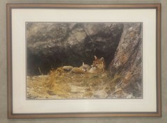 Thomas Mangelsen «Mother’s Love – Mountain Lions» Signed Limited Edition Print