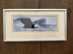 Excellence “King Of The Skies” Eagle Portrait, Photography By Frank Oberle EUC