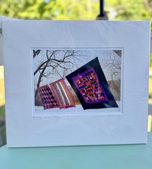 Bill Coleman Amish No. 363 “Quilts Hanging To Dry” Signed Color Photograph New