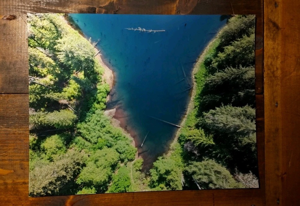 Spider Lake/Aerial View / Metallic Ink Print #1
