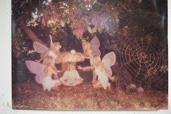 Original ALAN HOUGHTON fine art Photography butterlfys near a spider web 15 X 20