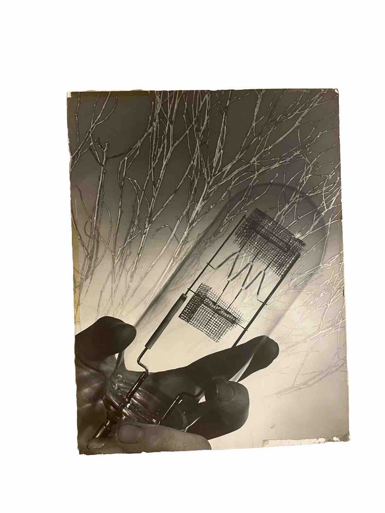 Vintage Photo Nicola Tesla? Electric Light Bulb Science 12+9 In Edison?