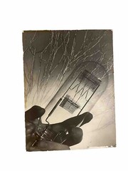 Vintage Photo Nicola Tesla? Electric Light Bulb Science 12+9 In Edison?