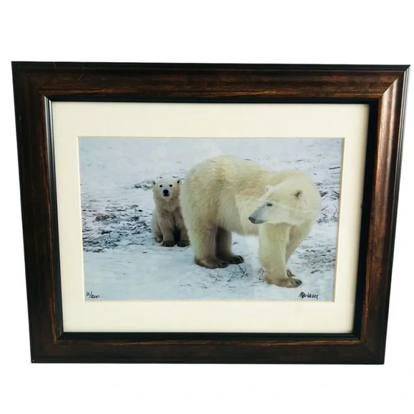 Polar Bear Nature Signed Limited Edition Framed Art Print