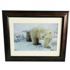 Polar Bear Nature Signed Limited Edition Framed Art Print