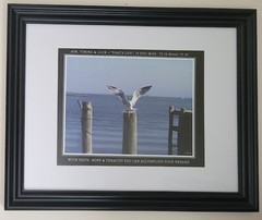 13×16 framed photo of Bird landing on Piling in Backyard across the Bay from LBI