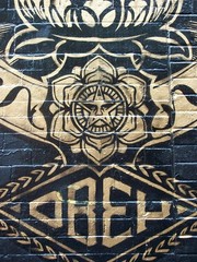 Street Art Gold on Black Brick NYC, Litho Print on Board, Photograph 18″ x 24″