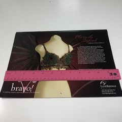 Lifebridge BRAVO 2008 Calender Art Bra Breast Cancer Awareness Avant Garde