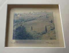 Emulsion Transfer Film Polaroid Art Photo Chianti #1 Patty Mulligan Framed 2006