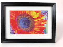SUNFLOWER, 4×6 » MATTED AND FRAMED PRINT, READY TO HANG, GREAT FOR GIFTGIVING