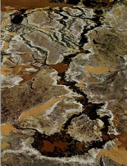 1962 Eliot Porter Glen Canyon Natural Mosaic River Bed Art Photo Gravure