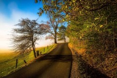 Great Smoky Mountains Photography Print – Cades Cove Loop Road Tennessee