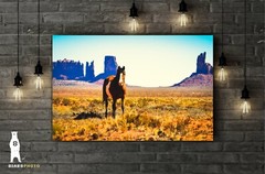 Monument Valley Horse – Utah Fine Art Photography by Bear8Photo – Desert Décor