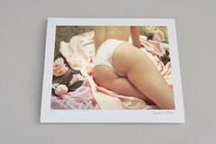 Silk Underwear Lingerie Fashion Photograph Ltd Edition Fine Art Print NEW + COA