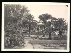 Photograph Otjimbingwe / German South West Africa DSWA, villa with gardens