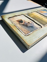 Custom wood Piranha beach photography art home deco by Steve Harris