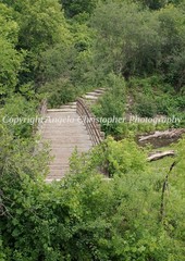 Original ACEO photo fine art print 2.5×3.5 inch HIDDEN BRIDGE wood trees nature