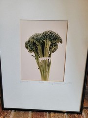 Michael Craven Fine Photography «Broccula» 1994 Signed Framed 70/300 Print 1998