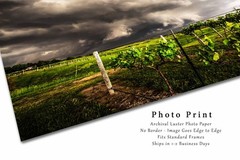 Storm Photography Print: Nebraska Vineyard Grape Vines Thunderstorm Photo